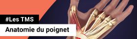 TMS- Anatomie du poignet