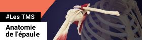 TMS - Anatomie de l'épaule