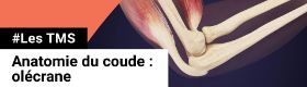 TMS - Anatomie du coude - Olécrane