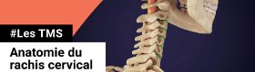 TMS - Anatomie du Rachis cervical