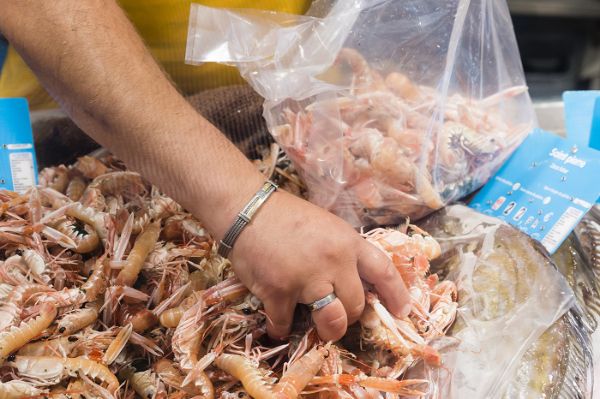 Manipulation de crustacés dans une poissonnerie 