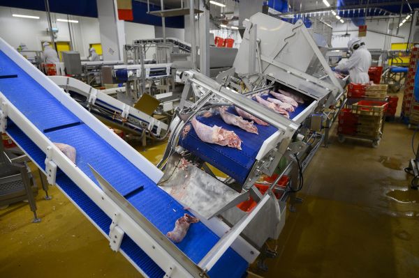  Ligne de découpe industrie agroalimentaire