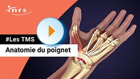 TMS- Anatomie du poignet