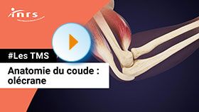 TMS - Anatomie du coude - Olécrane