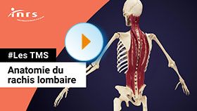 TMS - Anatomie du rachis lombaire