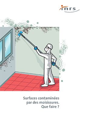 Surfaces contaminées par des moisissures : Que faire ?