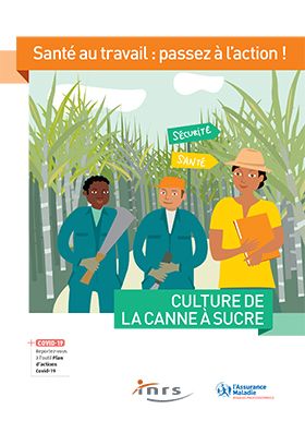 Culture de la canne à sucre