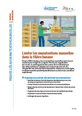 Limiter les manutentions manuelles dans la filière banane