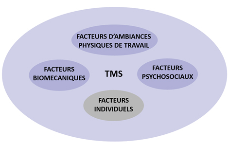 Dynamique d'apparition des TMS