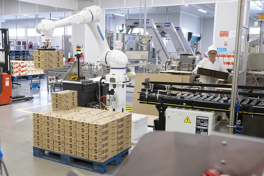 Utilisation d'un cobot pour la palettisation